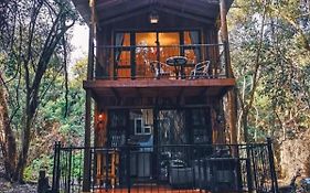 Shabby Fufu Lifestyle Farm